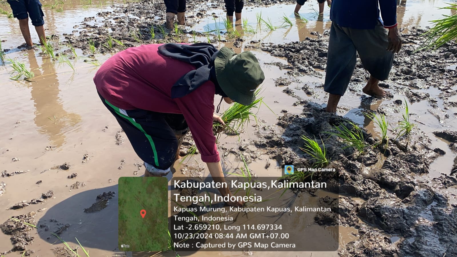Magang Mahasiswa Akuakultur